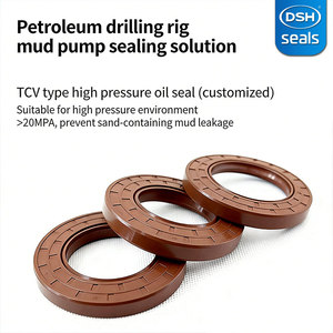 Sellos hidráulicos de caucho FKM HNBR NBR, tipo TC de doble labio, para perforación y producción de petróleo y gas, alta temperatura y alta presión - Product Image 3