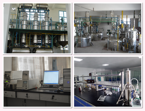 Натуральный высококачественный экстракт дикого ямса 10:1, чистый растительный порошок, порошок дикого ямса - Product Image 4