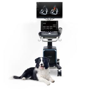 Ecógrafo Veterinario Mindray Nuevo Vetus 80, Ecógrafo con Carro - Product Image 1