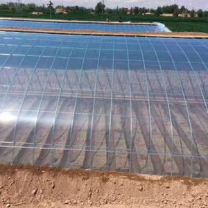 Low Cost Single-span <strong>Etfe</strong> <strong>Film</strong> for <strong>Greenhouse</strong> - Product Image 6