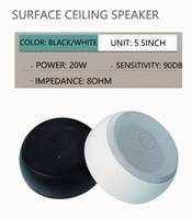 Tianlai D53 Speaker langit-langit 5.5 inci, bentuk bulat 110v sistem alamat publik 8ohm Audio rumah 20w permukaan dipasang