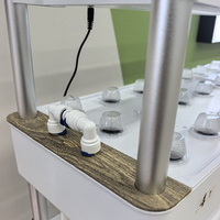 Sistem Pertanian Vertikal Multi-layer Desain Baru StarFarm, Sistem Hidroponik Rumah, Penanam Taman 3D Cerdas Dalam Ruangan, Plastik