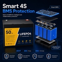 بطارية ليثيوم دقيقة 12.8 فولت 50 أمبير ساعة LiFePO4 ذات دورة عميقة مع نظام إدارة البطارية (BMS) لتخزين الطاقة الشمسية في المخيمات