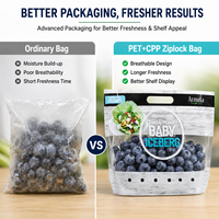 Kantong Buah dan Sayur Food Grade PET/CPP Custom dengan Penutup Zipper Lock