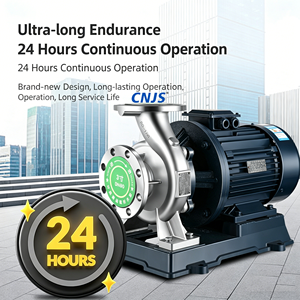 Bomba Centrífuga Horizontal de Acero Inoxidable 304 de 50hp, Diseño Chino CNJS, para Riego y Aplicaciones Industriales OEM - Product Image 2