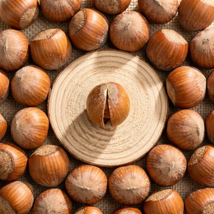 <span class=keywords><strong>Noisettes</strong></span> <span class=keywords><strong>sauvages</strong></span> du nord-est de la Chine de qualité supérieure, en coque, pour des collations saines et des cadeaux de fêtes - Product Image 4