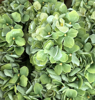 Bunga Hydrangea Hijau Buatan Grosir Sentuhan Asli Lateks untuk Dekorasi Pernikahan, Rangkaian Bunga, Hydrangea Palsu