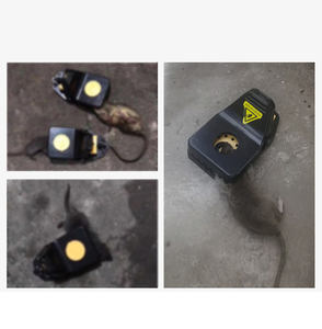 מלכודת עכבר אלקטרונית פלסטית מתקדמת-מצלב עכבר הומני למטבח הביתי - Product Image 2