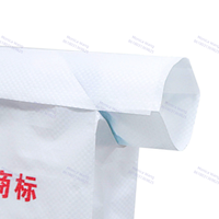 Sac de poudre de ciment Portland étanche WPP 20kg 25kg 50kg AD sac d'emballage en plastique pour mastic mural étoile Gesso béton plâtre plâtre