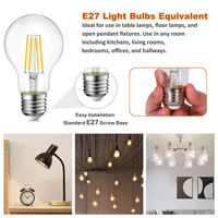 Vertak Led Fabricants Ampoule Extérieure 6W Guirlande Lumineuse Led Filament Ampoule Lumière A60 E27 Ampoule