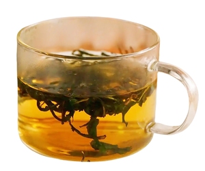 Teh kesehatan, teh Herba Taraxacum/teh Dandelion herbal