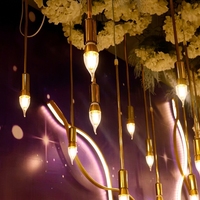 Lustre à 10 têtes Starlight, guirlandes lumineuses décoratives pour la mise en scène de mariage, décoration de plafond pour fête et fond de scène de mariage