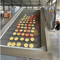 Freidora Continua de Acero Inoxidable para Papas Fritas, Línea de Producción de Fritura Automática