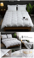 Offre Spéciale couette en microfibre blanche de luxe couette douce reine taille duvet d'oie remplissage respirant couette de qualité hôtelière usage domestique