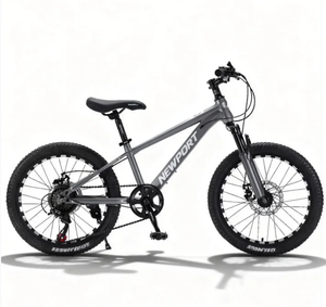 Bicicletta da Montagna Economica da 20 Pollici, Telaio in Acciaio, Marca XY, per Giovani, Vendita all'Ingrosso da Hebei - Product Image 3