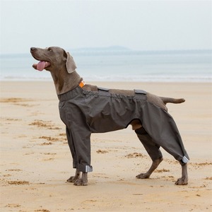 Chubasquero impermeable para perros, Mono para perros medianos y grandes, chubasquero para mascotas al aire libre, ropa para cachorros, <span class=keywords><strong>Doberman</strong></span>, Labrado, accesorios para perros - Product Image 3