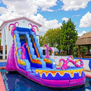 Trẻ Em Giá Rẻ Thư Bị Trả Lại Thương Mại Ngoài Trời Khô Trampoline Chơi Công Viên Thiết Bị <span class=keywords><strong>Inflatable</strong></span> Trượt Nước Nhà Lâu Đài Nước Hồ Bơi - Product Image 1