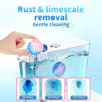 Blocs Nettoyants WC Bicolores Personnalisables à Marque Privée – Produits d'Entretien Quotidien pour Toilettes et Salle de Bain