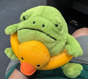 ゼリー猫スイムリング雨カエル英国ぬいぐるみ限定版スーパーソフトぬいぐるみPPコットン充填かわいい快適なぬいぐるみクリスマス - Product Image 5