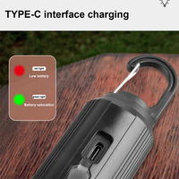 Lanterne de camping extérieure étanche en ABS avec charge USB, alimentée par énergie solaire, LED 2W 6000K lumière du jour, certifiée CE, ampoule COB blanche IP55, pour barbecue