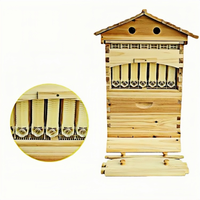 Automatische selbst fließende Bienenstock box mit 7 Rahmen, hölzerner Honig-Ernte stock für Imkerei ausrüstung