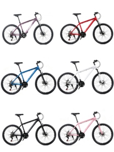 Fabricante Mayorista de China, Bicicleta de Montaña <span class=keywords><strong>GREENSKY</strong></span> GS-10 2026, Bicicleta Personalizada - Product Image 6