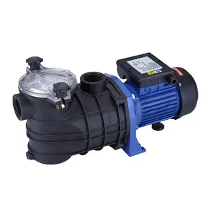 550W 230L/Min Heavy Duty Rvs As Zwembad Water Pompen Met Transparant Deksel