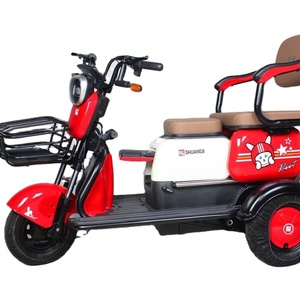 Nouveau Tricycle Électrique Puissant 2023 à Trois Roues pour Adultes, Vélo Cargo avec Outils Mobiles Inclus, Origine Chine - Product Image 1