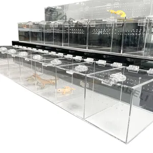 Supplier price 3 tiers clear Acrylic reptile display case with lock for expo display only