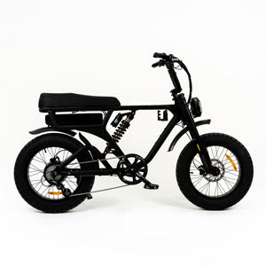 Bicicleta Eléctrica Fatbike para Niños con Doble Suspensión, Neumáticos Gruesos de 20 Pulgadas, Bicicleta Eléctrica de Largo Alcance, Motor de 1000W, Cuadro de Aleación de Aluminio - Product Image 1