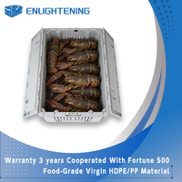 Panier à homards empilable en plastique de qualité alimentaire 600x400x300mm pour les détaillants de fruits de mer en chaîne PP