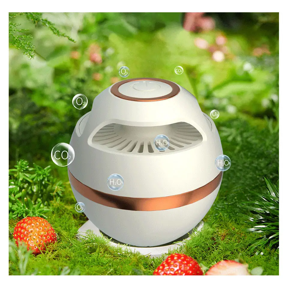 Mini Portable Car Home Fridge Ozone Generator Purifier refrigerated Mini air purifier electrical