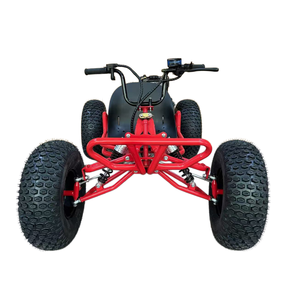 Kart à grandes roues pour aventures en plein air, moteur 4 temps, buggy tout-terrain pour adultes et adolescents - Product Image 2