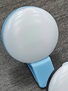 Bleu