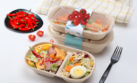 Conteneur alimentaire jetable biodégradable en gros, boîte à lunch en pulpe de canne à sucre avec pelliculage brillant
