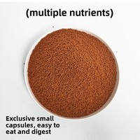 Granulés de fruits et légumes pour perroquets, pilules nutritives et de conditionnement, sans coquille, pour perruches, Xuanfeng, Petits Pigeons, nourriture protéinée pour oiseaux