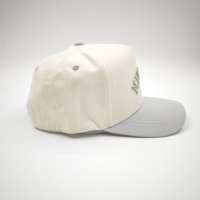 Casquette de baseball classique personnalisable à 5 panneaux en tissu Oxford Terry Dobby, visière incurvée réglable, logo brodé en 3D, broderie à la main motif fruits