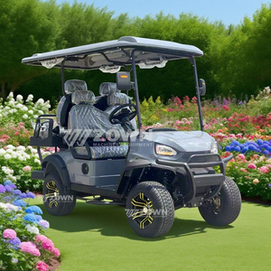 Carrito de Golf Eléctrico de Alto Rendimiento, Buggy Pequeño de 4 Plazas, Marca ZOWN, Garantía de 2 Años, 4 Ruedas, para Resorts - Product Image 6