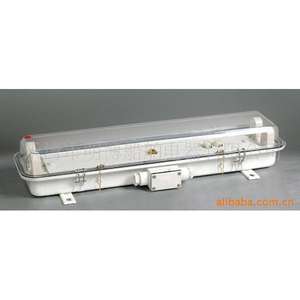 Lámpara de Techo Fluorescente ZYC23-2 de 220V, Iluminación de Emergencia de Doble Tubo para Cabina, Fuente de Luz SMD, Plástico y Acero - Product Image 1