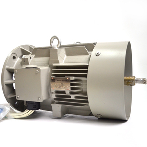 Atlas Copco Industrielle Schraube Luft kompressor Ersatzteile Dreiphasen-Induktion <span class=keywords><strong>motor</strong></span> Elektromotor 1092094200 - Product Image 6