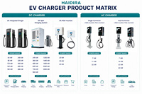 Station de recharge rapide DC HAIDIRA IP55 40 kW 60 kW 80 kW compatible OCPP avec CCS1 CCS2 Chademo GB/T pour véhicules électriques