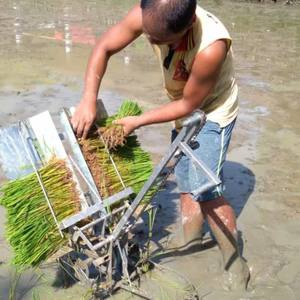 Sembradora de Arroz Agrícola Manual de Alta Calidad - Product Image 1