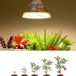 Linh hoạt <span class=keywords><strong>4m</strong></span> cáp quang phổ đầy đủ 50 wát LED phát triển ánh sáng bóng đèn cho tùy chỉnh nhà máy sắp xếp & trong nhà vườn - Product Image 1