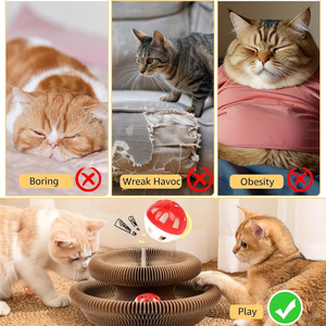 แผ่นข่วนแมวแบบมีลูกบอลในตัว Magic Organ Cat Scratcher Board ของเล่นแมวในร่ม ช่วยเสริมสร้างพัฒนาการทางจิตและร่างกายอย่างเต็มรูปแบบ - Product Image 4
