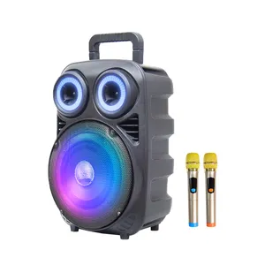 Factory Wholesale speaker hifi outdoor portable wireless TWS karaoke Speaker accessories with mic