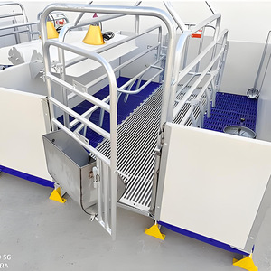 Heavy Duty Swine Farrowing Stall Hot Dip Galvanized Steel Sow Crates Cast Iron Plastic Slatted Flooring Creep Area for Piglets - Product Image 3