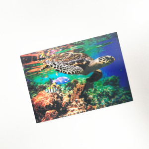 สติกเกอร์เลนติกูลาร์ภาพเคลื่อนไหว 2/3 มิติ แบบกำหนดโลโก้เองได้ พร้อมภาพเคลื่อนไหว 3 มิติ สไตล์อนิเมะ พิมพ์สีสันสดใส โปสการ์ดเลนติกูลาร์ และการ์ดอื่นๆ - Product Image 5