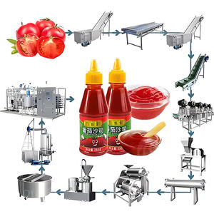 Lignes de transformation alimentaire haute performance pour la production de sirop et de confiture pour la confiture de framboises et autres confitures de fruits - Product Image 4