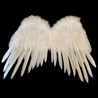 Ailes d'ange en plumes teintées magnifiques en gros pour les costumes de fête, les festivals, Halloween, le carnaval et le cosplay