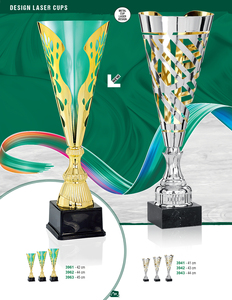 Tùy chỉnh cao sang trọng kim loại Trophy khắc với laser cho các sự kiện thể thao giải thưởng cho cầu lông & bóng bàn các cuộc thi - Product Image 5